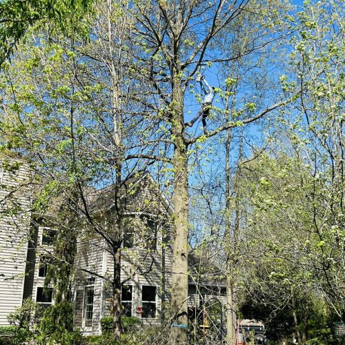 494634082_122102636174854178_919096870833129963_n