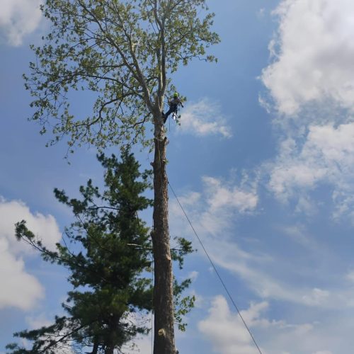 496440623_122108912552854178_1641279276273377487_n