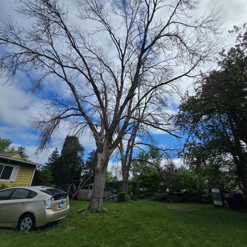 498672849_122111302646854178_1769366358293616086_n