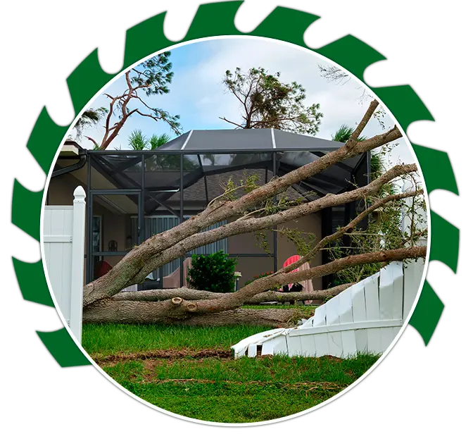 Emergency Tree Services
