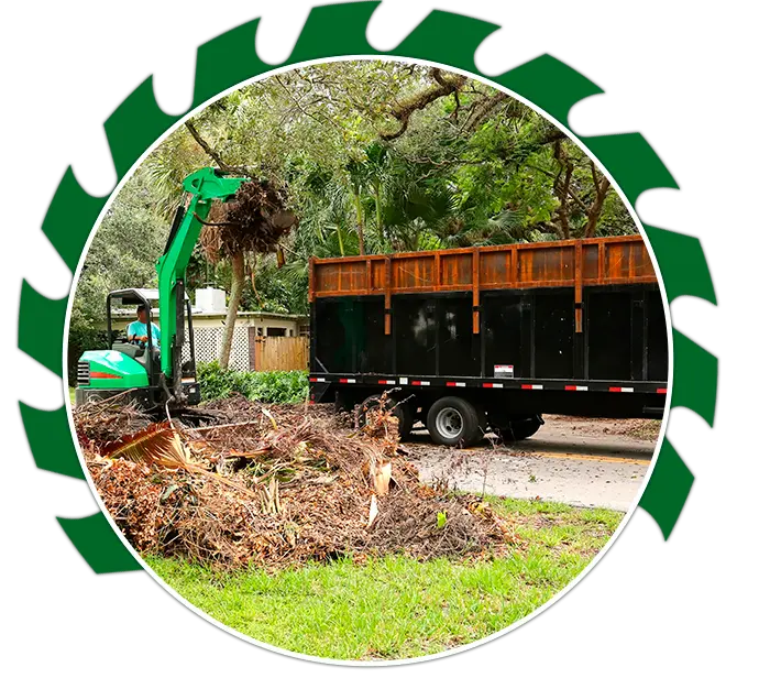 Junk Removal Services (1)